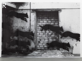 David Khan-Giordano studio