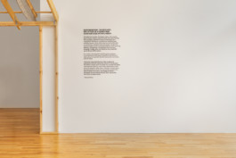 David Khan-Giordano studio