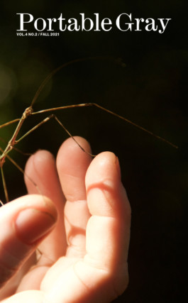 David Khan-Giordano studio