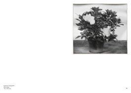 David Khan-Giordano studio