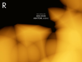 David Khan-Giordano studio