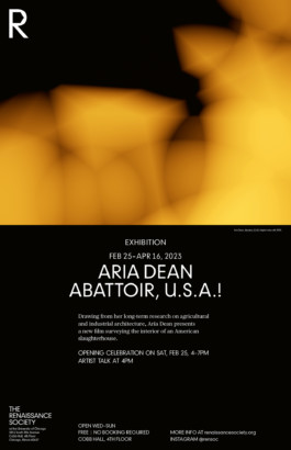 David Khan-Giordano studio