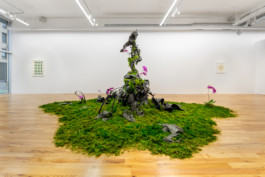 David Khan-Giordano studio