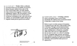 David Khan-Giordano studio