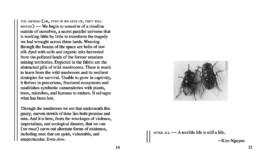 David Khan-Giordano studio