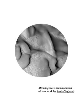 David Khan-Giordano studio