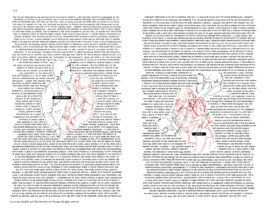 David Khan-Giordano studio