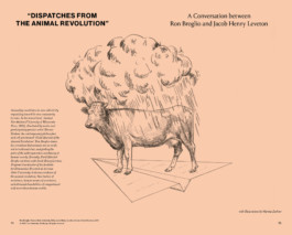 David Khan-Giordano studio