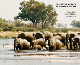 David Khan-Giordano studio